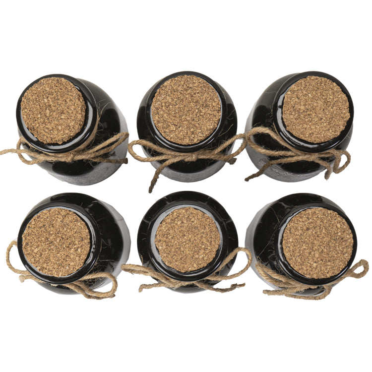 Spooky Apothecary Ceramic Bottle Set