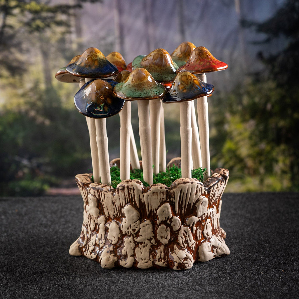 12 Piece Ceramic Mushroom Picks with Planter