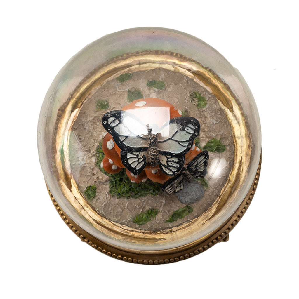 Butterfly Mushroom Cloche