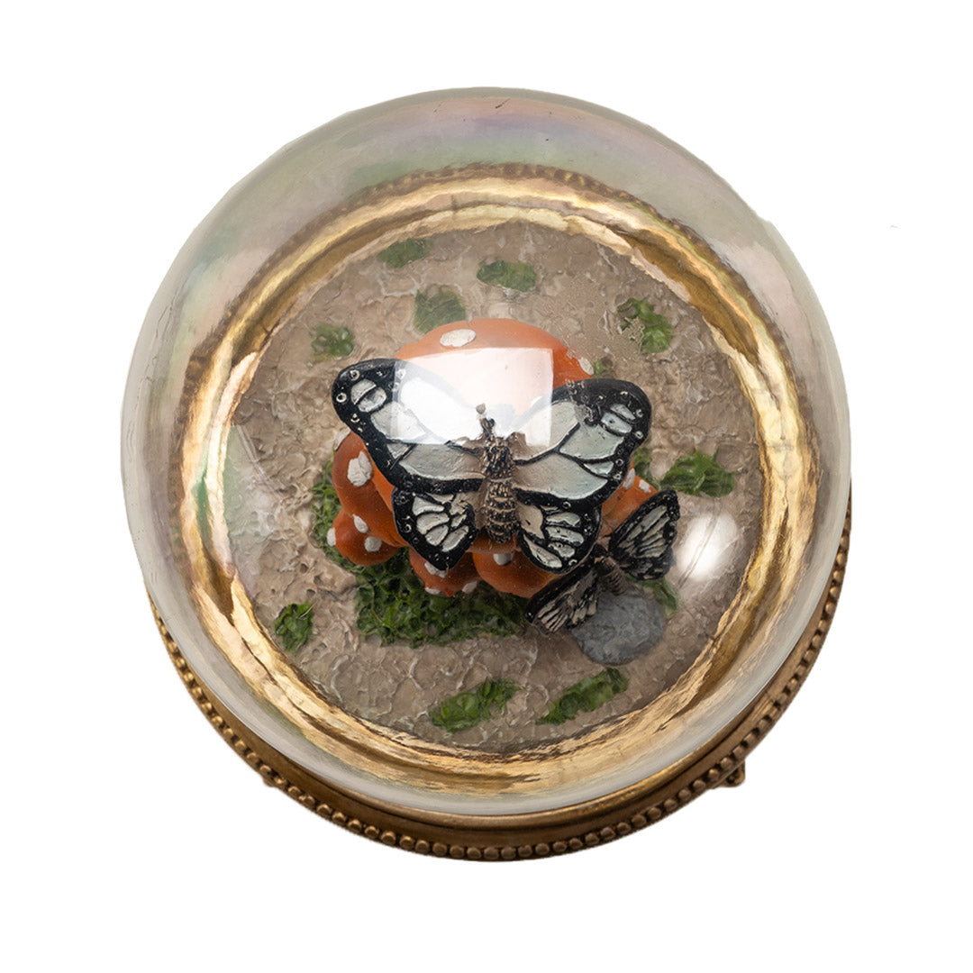 Butterfly Mushroom Cloche