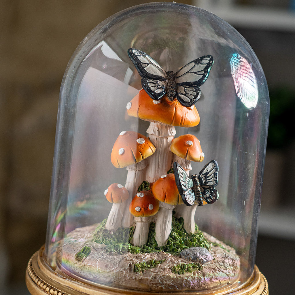 Butterfly Mushroom Cloche