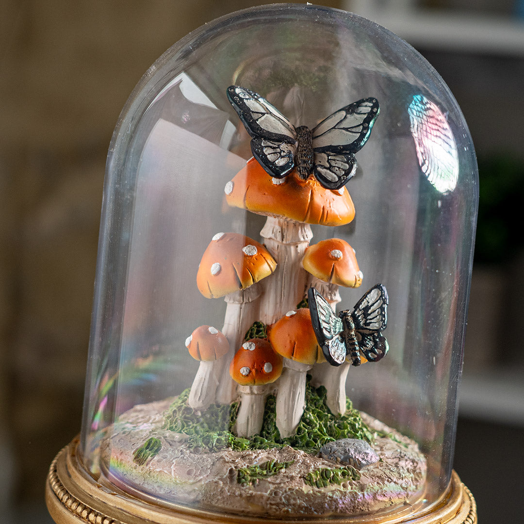 Butterfly Mushroom Cloche