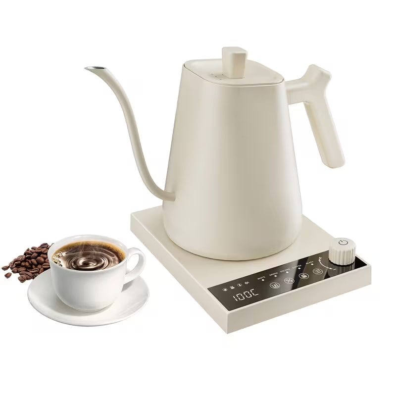 0.6-Liter Gooseneck Electric Kettle with Precision Temperature Control