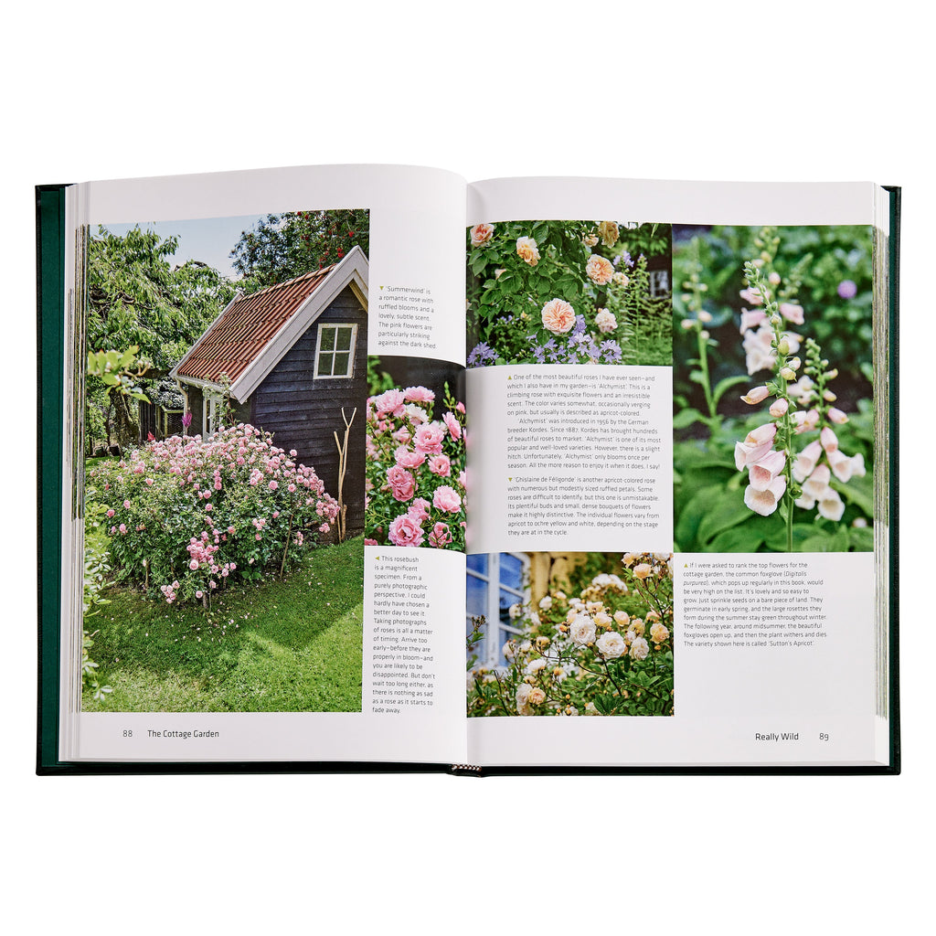 The Cottage Garden