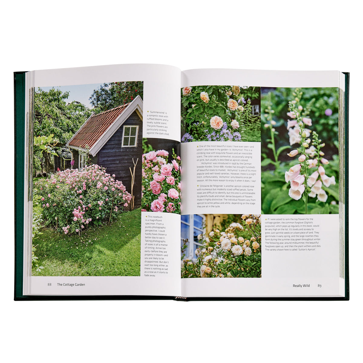 The Cottage Garden