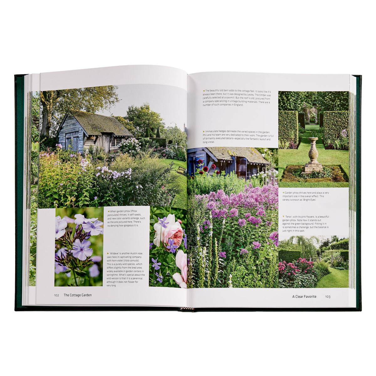 The Cottage Garden