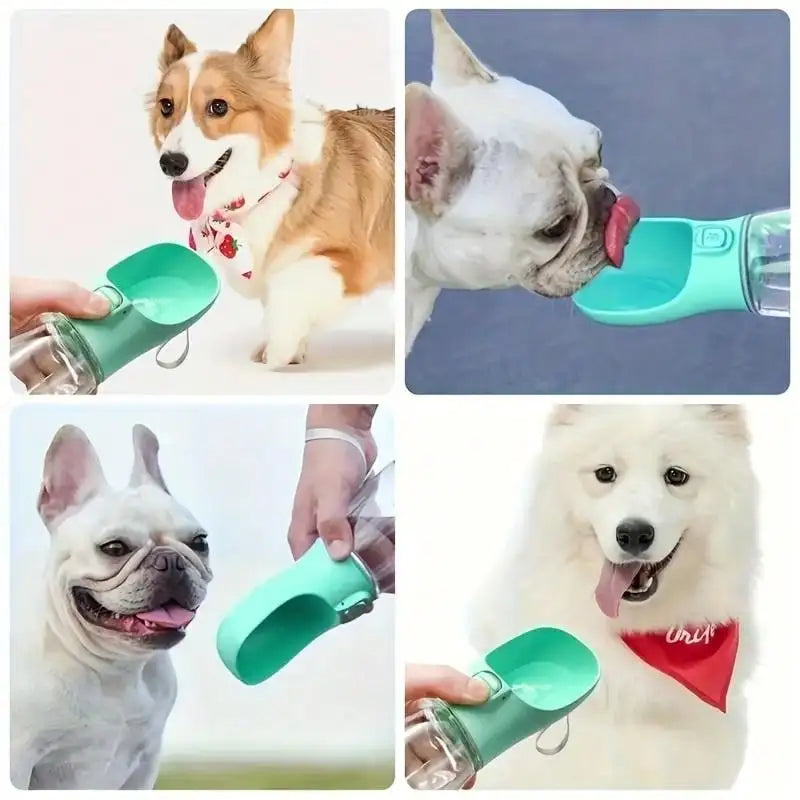 Portable Dog Water Bottle for Walking & Hiking