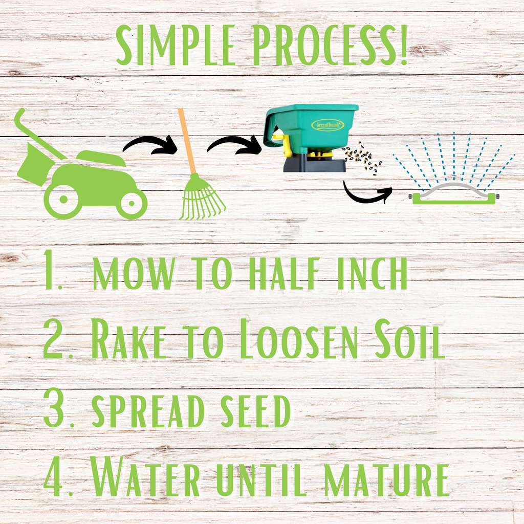 Micro Clover + Mow Less Grass Seed